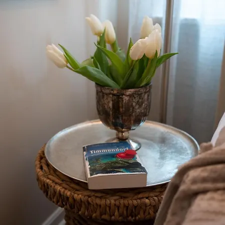 Studio-apartment Piccolino 26, Timmendorfer Strand- Strandkorb Inklusive & Privaten Zugang Zur Ostsee アパート ティメンドルファー・シュトラント