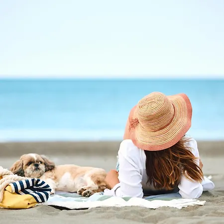 Apartment Studio-apartment Piccolino 26, Timmendorfer Strand- Strandkorb Inklusive&privater Strandzugang *