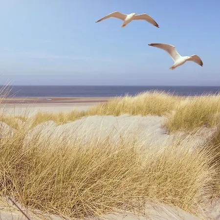 アパート Studio-apartment Piccolino 26, Timmendorfer Strand- Strandkorb Inklusive & Privaten Zugang Zur Ostsee