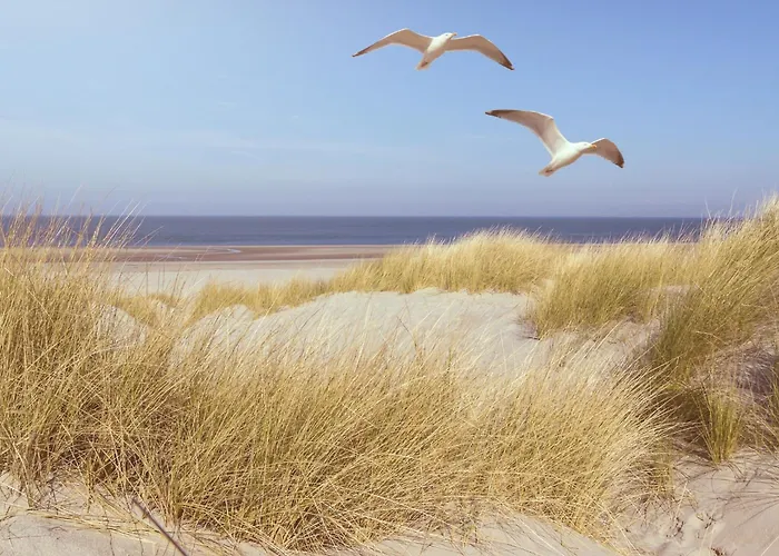 公寓 Studio-apartment Piccolino 26, Timmendorfer Strand- Strandkorb Inklusive & Privaten Zugang Zur Ostsee